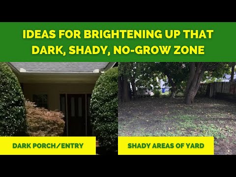 Videó: Csökkenti a kerti árnyékolást – egyszerű megoldások a túl sok árnyékos pázsitra