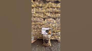 Premium Egyptian Spunta Potatoes | Top Quality for Export! #potato #onions #carrots #oranges #yummy