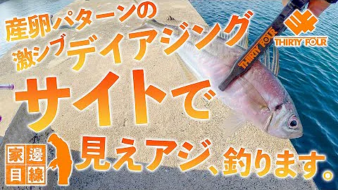 釣りよかでしょうアジング