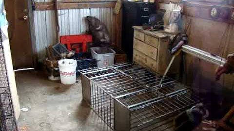 Live beaver trap with ADVANCED TRIGGER made by Kirk Dekalb