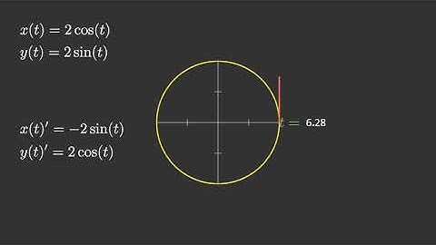 Integral Curve Of Vector Field #differential geometry #du m.sc #differentialequation #advancemath