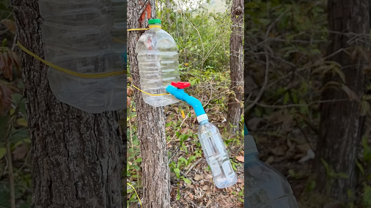 Survival Skills: SMART idea and USEFUL with saving water #bushcraft #camping #ideas #useful