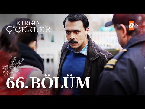 Обиженные цветы турецкий сериал на русском языке озвучка 66 серия