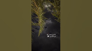 فَاسْتَجَبْنَا لَهُ وَنَجَّيْنَاهُ مِنَ الْغَمِّ ۚ |القارئ إسلام صبحي.