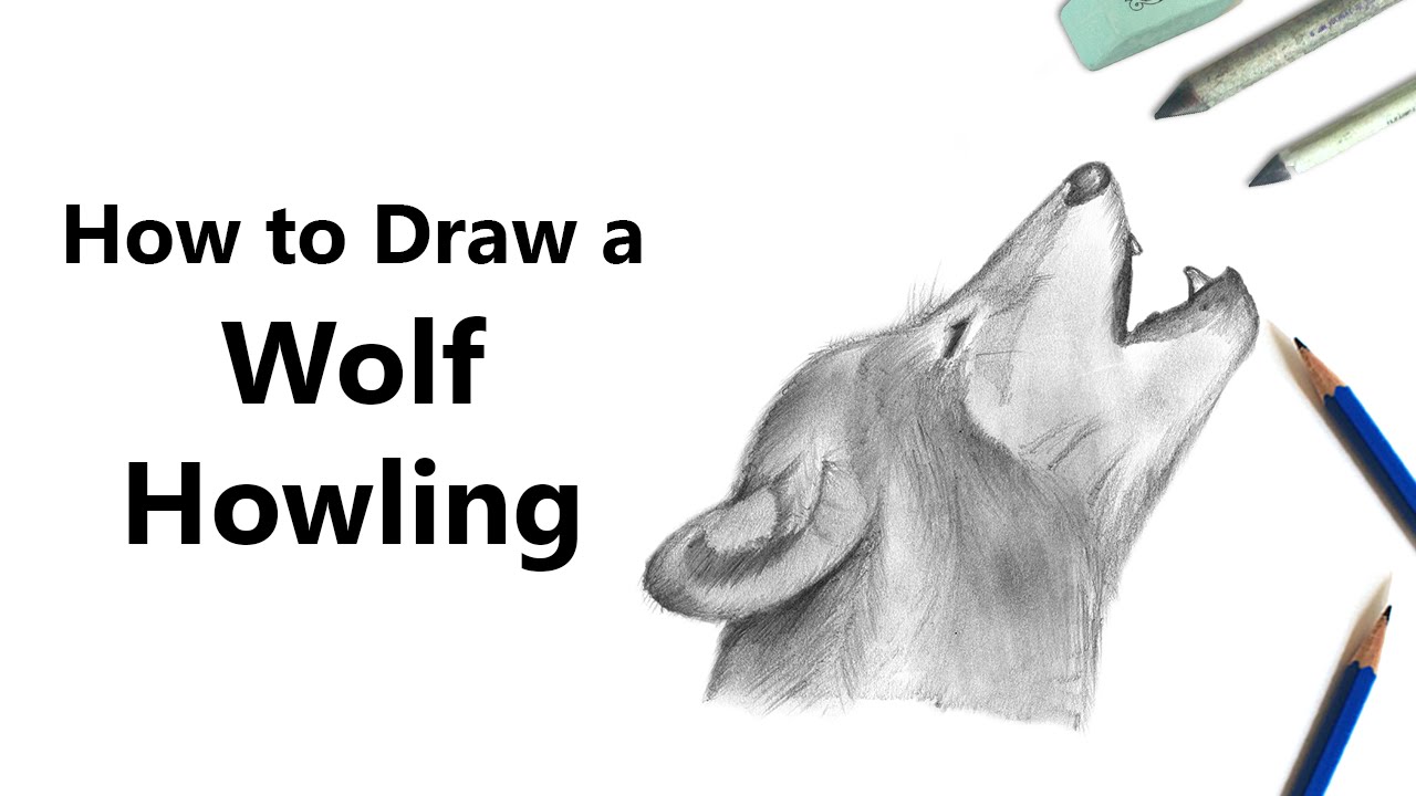 How to Draw a Wolf Howling with Pencils [Time Lapse] - YouTube