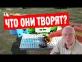 Не открывайте улей! Сначала посмотрите на прилетку