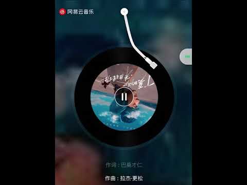 丁真 Ding Zhen 真真《马背上的理塘》网易云音乐