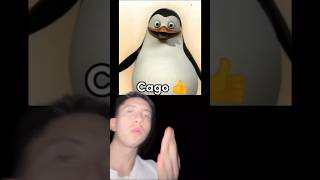 Los Pingüinos Me La Van A Mascar Origen Meme 