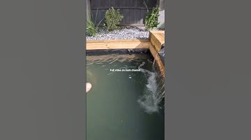 New  hybrid pond build with sleepers and eco system filtration @djswaterscapesandlandscaping #ponds