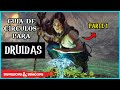 GUIA DE CÍRCULOS PARA DRUIDAS EM D&D 5E PARTE 1