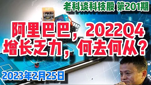 第201期：阿里巴巴(Alibaba)2022Q4，增长乏力，何去何从？ - 天天要闻