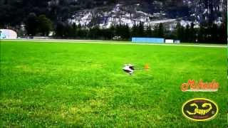 Mirko Cesena - Logo 600 SX - Extreme 3D