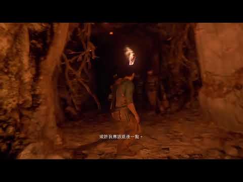 Uncharted 4 : A Thief`s End  祕境冒險　4：盜賊末路　　［佐賀］