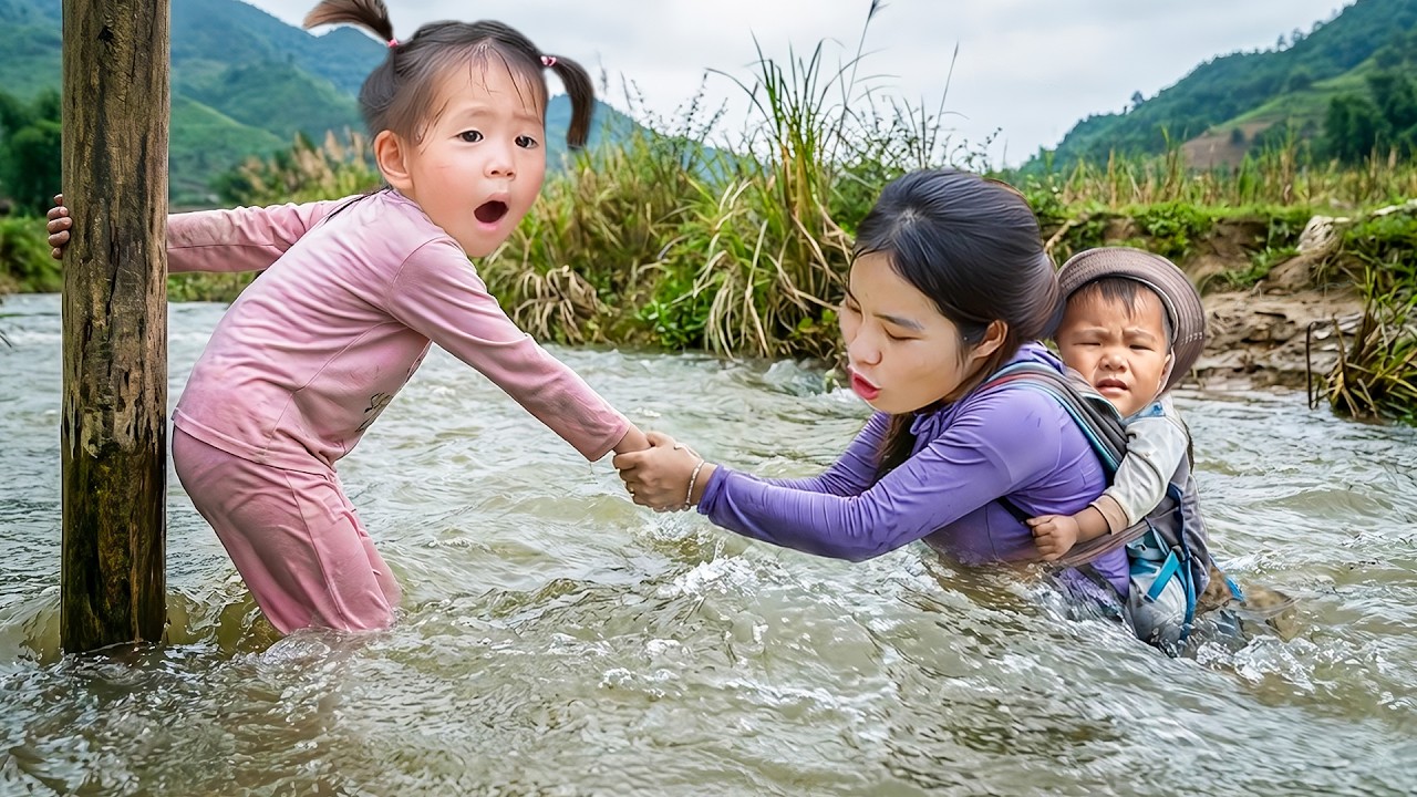 How to Block water and Catch River fish to Sell at Market - Cook Yummy Fish with Little children
