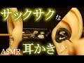 【ASMR】耳断面が見えるサックサクな耳かき😊A crisp ear pick that shows the cross section of the ear✨귀 단면이 보이는 바삭 바삭한 귀걸이