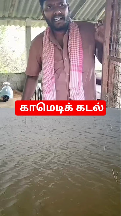 kadal maathiri comedy #funny #mazhai #joke #shortsviral
