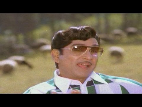 anubandham-movie-||-jim-jim-tharare-video-song-||-anr,-sujatha,-karthik-||-shalimar-movies