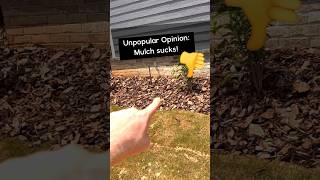Unpopular Opinion: Mulch sucks! 👎