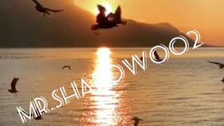 Seir...mene Bir Az Ondan Danis