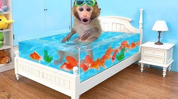 Monkey Baby Bon Bon Goes Fishing and Swims with Ducklings in the Pool | BonBon Indonesian