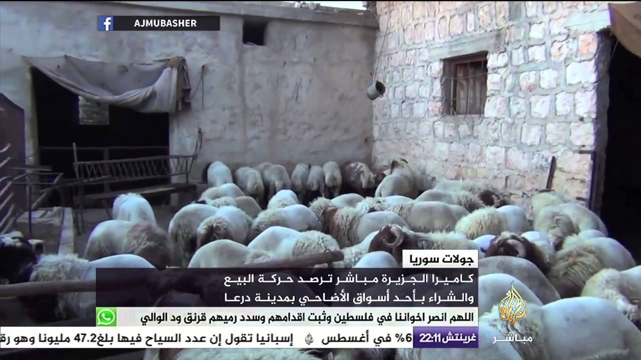 حركة البيع والشراء بأحد أسواق الأضاحي في مدينة درعا السورية