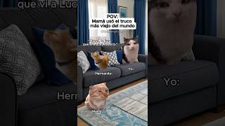 CAT MEME FUNNY 😹 Mamá usó el truco más viejo del mundo #relationship #cat #relatable