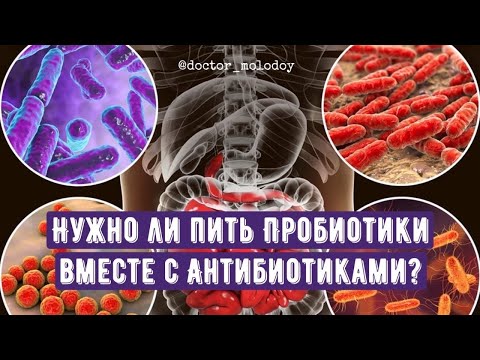 Нужно ли давать