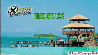 Edelweiss - Julie Andrews | Karaoke screenshot 5