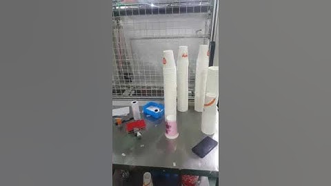 Full Automatic Paper Cup Packing Machine