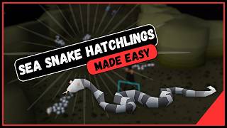 Quick Guide to Slaying Sea Snakes in OSRS