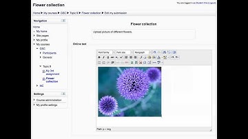 Moodle - Using images from Flickr repository