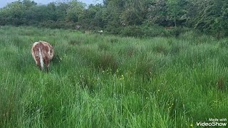 Im struggling with this something needs to change. Rushes are a big issue 
