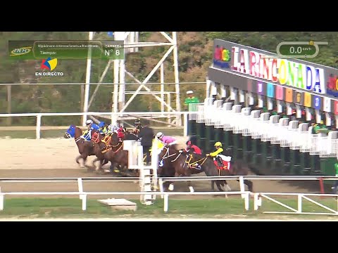 8th Race | 4th Leg | LOOK AT DADDY | La Rinconada Racetrack | Meeting 05 | 2026