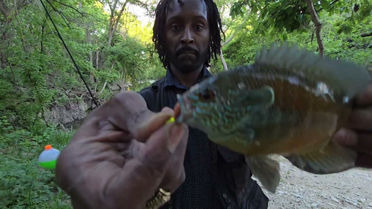 Beautiful Longear Sunfish!!! 🐠🎣
