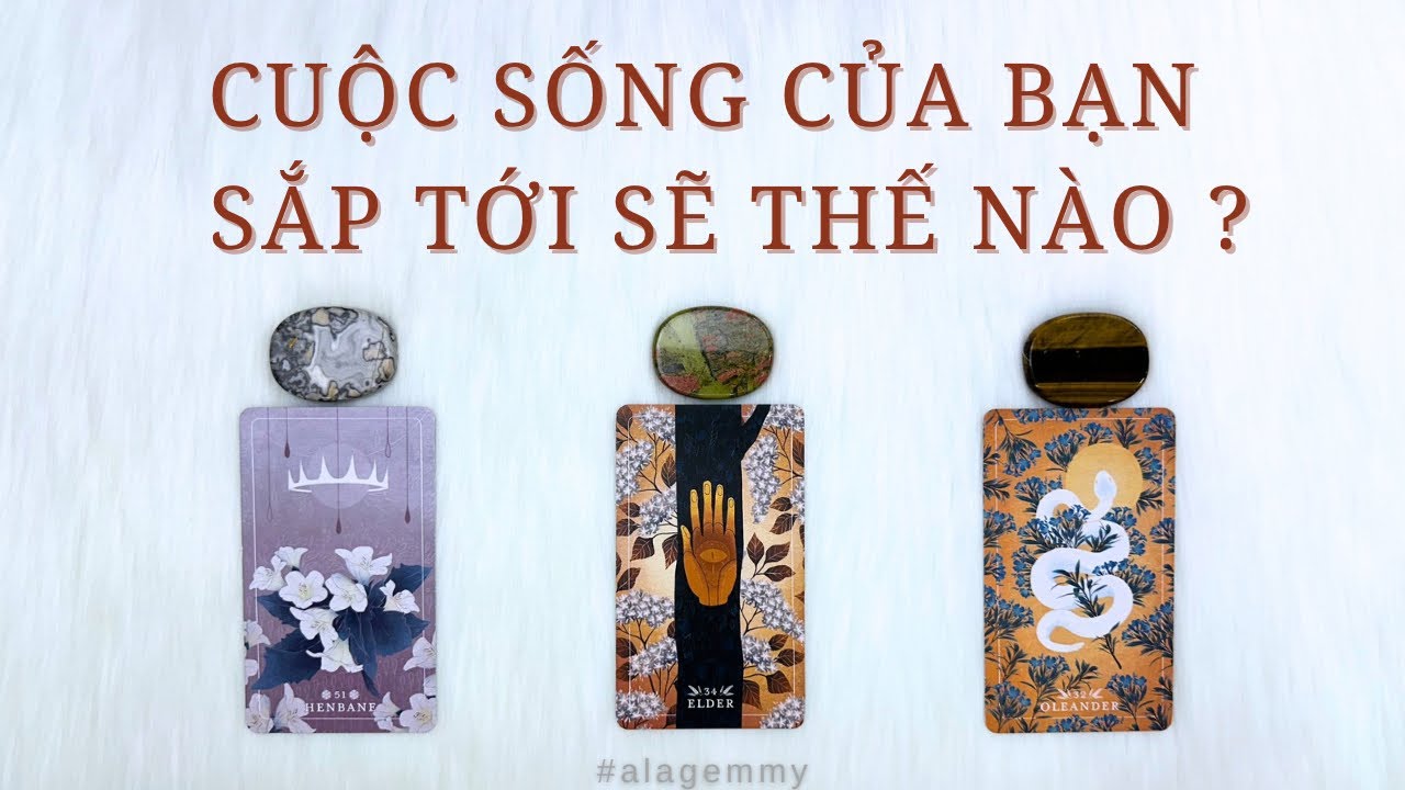CUỘC SỐNG SẮP TỚI SẼ THẾ NÀO ?🍭🌞🎵🎶🧁Tarot🍰🥂🍾🎇