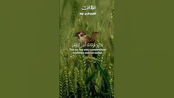 فواتح سورة يسٓ_ تلاوة عذبة _ الشيخ فارس عباد