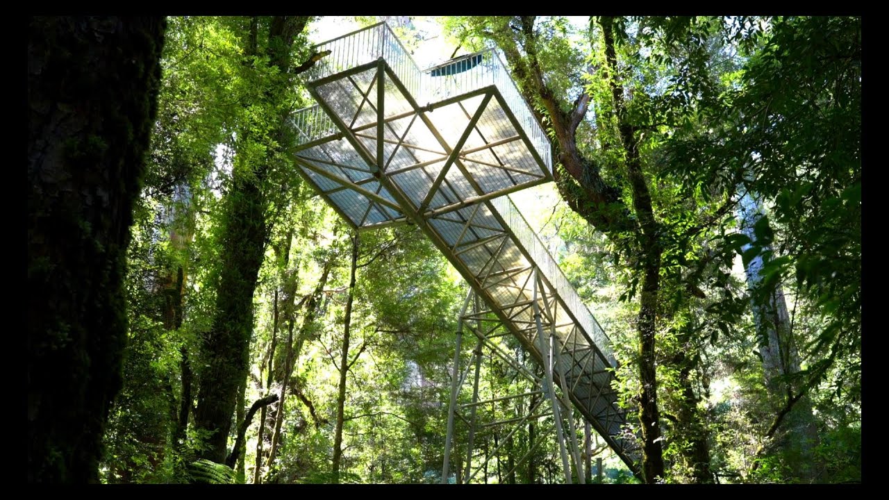 RAINFOREST GALLERY WARBURTON Victoria Feb 2025