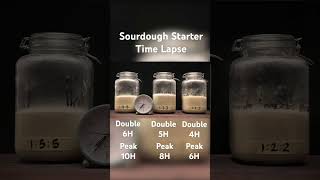 Sourdough starter time lapse. #sourdough #sourdoughstarter