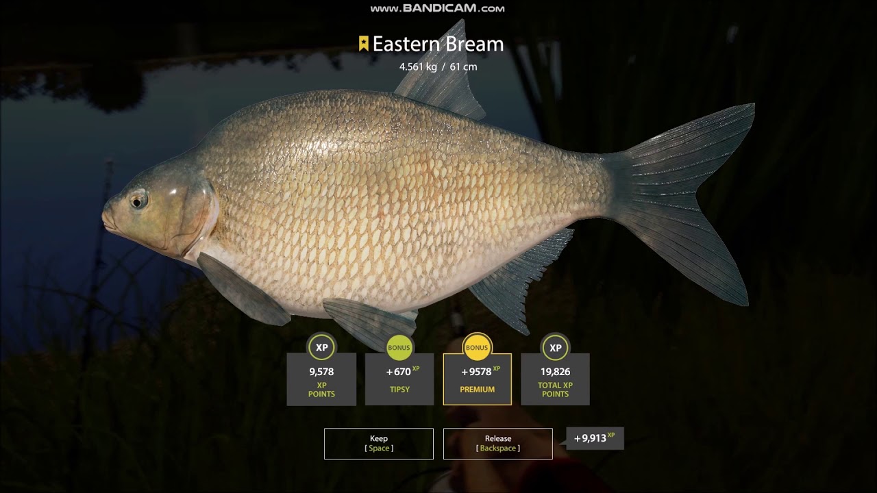 Russian Fishing 4 l Akhtuba River l Trophy Eastern Bream 4.561 kg