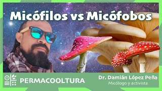 Micófilos vs micófobos  Dr. Damián López  Hongos medicinales