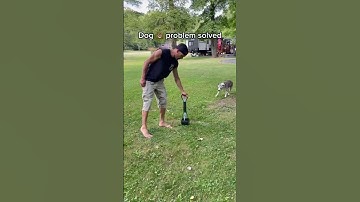 RV Hack! Dog 💩problem solved! #rv #rvlife #fulltimerv #travel #doglife #rvhacks #genius #shorts