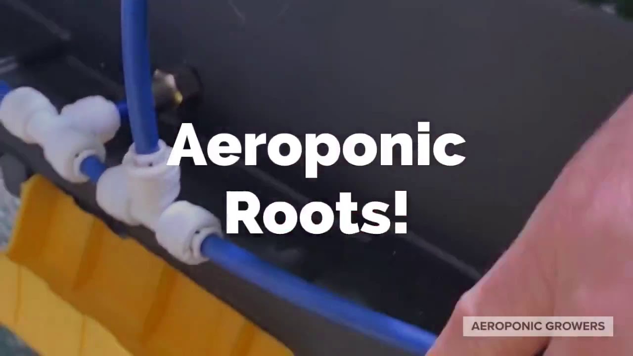 How I use to build aeroponic chambers out of a Lowes 64 gallon "Commander" tote