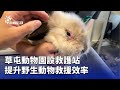 野生動物救援