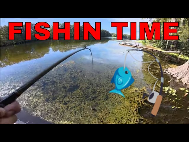 Thumbnail for River Fishing While Camping In Floral City Florida