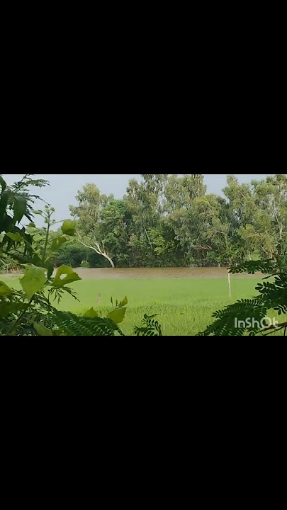 barish😆ke bad Mausam#shortsvideo#song #cover#Channel pages#Shorts feed#Browsefeatures#YouTube search