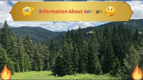 💥🐾Information About Animals🔥🎬 #viralvideo  #animals #amazinganimals #viral #didyouknow #animalworld