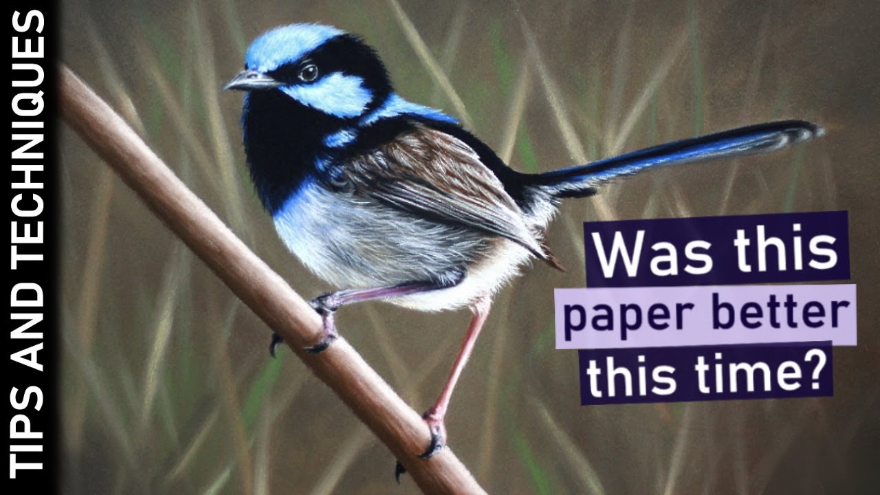 Drawing a realistic bird in pastels | Canson Mi-Teintes Velvet paper