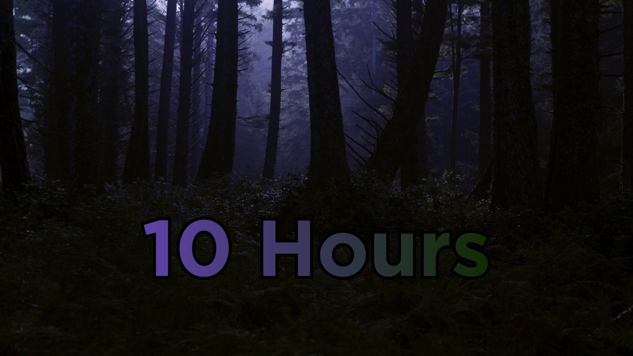 10 hours of soothing rain on a forest trail, sleep deeply, relax, and reduce stress