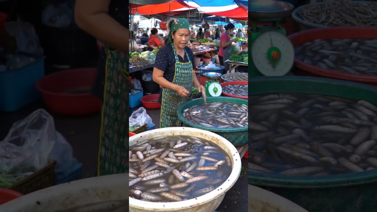 Protein Sea Cucumber Fever: A Traditional Asian Market Scene