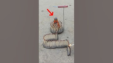 Epic Matchstick Chain Reaction Leads to Firecracker Blast 😀 #shortsvideo #scienceexperiment